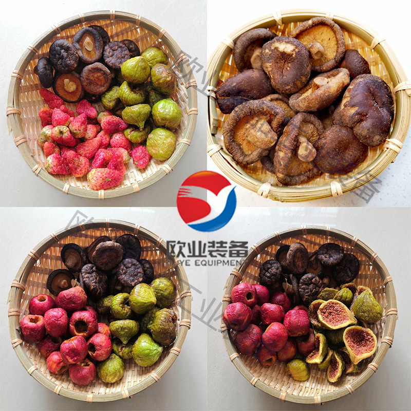 什錦果蔬脆低溫脫水機(jī)